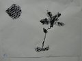 DSC00659