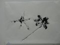 DSC00664