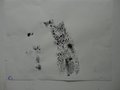 DSC00647