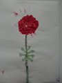 DSC00801