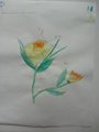 DSC00795