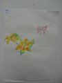 DSC00794
