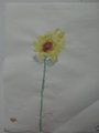 DSC00802