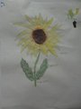 DSC00804