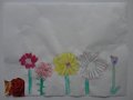 DSC00838