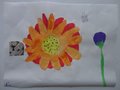 DSC00834