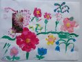 DSC00848