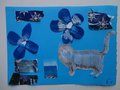 DSC00922
