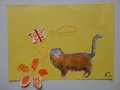 DSC00955