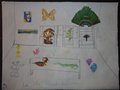 DSC02225