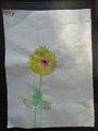 DSC02928