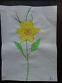 DSC02910
