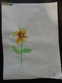 DSC02917
