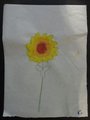 DSC02925