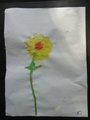DSC02927