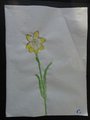 DSC02919