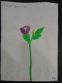 DSC03170