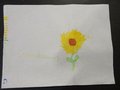 DSC03190