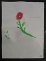 DSC03185