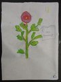 DSC03184