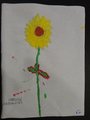 DSC03176
