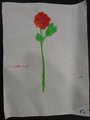 DSC03181