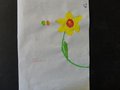 DSC03334