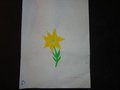 DSC03333