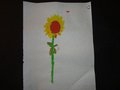 DSC03331