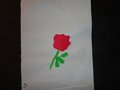 DSC03343