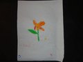 DSC03332