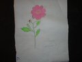 DSC03321