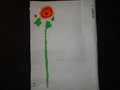 DSC03330