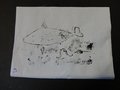 DSC03393