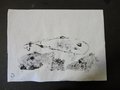 DSC03380