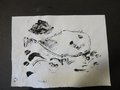 DSC03376