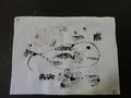 DSC03388