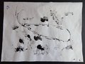 DSC03431