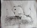 DSC03405