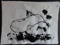 DSC03430