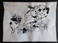DSC03429