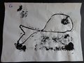 DSC03419