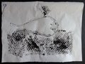 DSC03423
