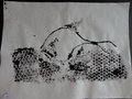 DSC03404