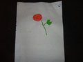 DSC03450