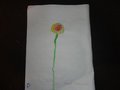 DSC03448