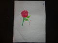 DSC03439