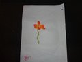 DSC03436