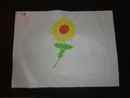 DSC03455