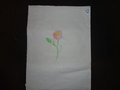 DSC03438